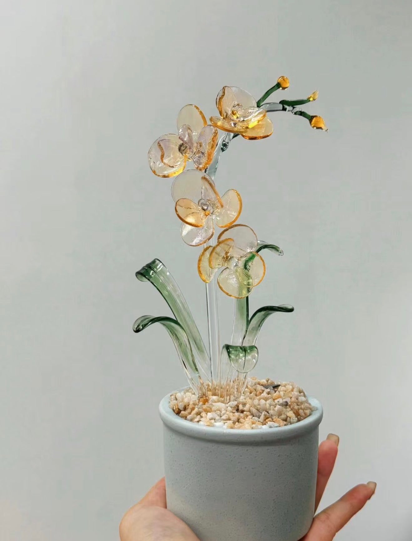 Customisable Ethereal Phalaenopsis Orchid Potted Decor