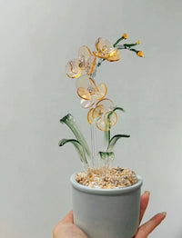 Customisable Ethereal Phalaenopsis Orchid Potted Decor