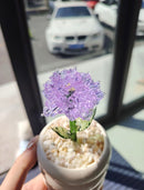 Handmade Glass Mini Potted Plant Ornament – Custom Color