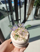 Handmade Glass Mini Potted Plant Ornament – Custom Color