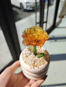 Handmade Glass Mini Potted Plant Ornament – Custom Color