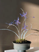 Handmade Lampwork Glass Orchid Figurine Purple Dream Collection in Ceramic Pot Decorative Art Piece