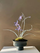 Handmade Lampwork Glass Orchid Figurine Purple Dream Collection in Ceramic Pot Decorative Art Piece