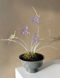 Handmade Lampwork Glass Orchid Figurine Purple Dream Collection in Ceramic Pot Decorative Art Piece